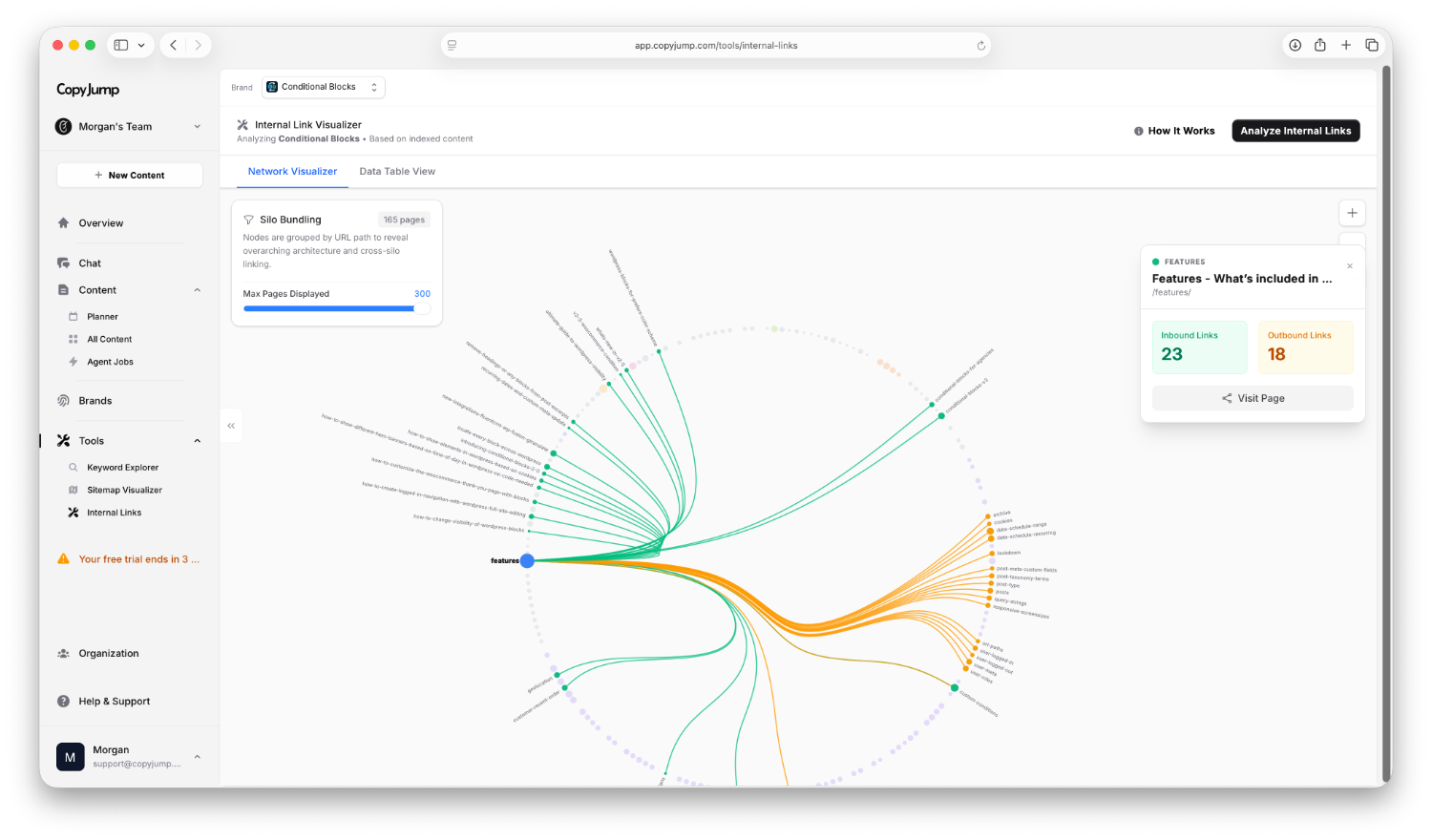 CopyJump internal link selected in the editor